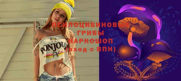 ПСИЛОЦИБИНОВЫЕ ГРИБЫ Белокуриха