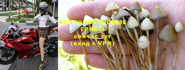 ПСИЛОЦИБИНОВЫЕ ГРИБЫ Белокуриха