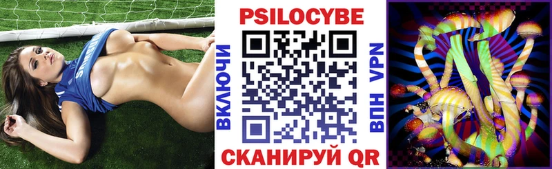 Псилоцибиновые грибы Magic Shrooms  Купить где  Кедровый 