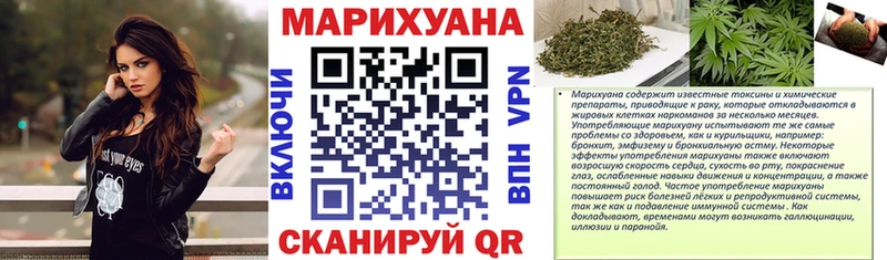 Конопля OG Kush  Купить где  Кедровый 